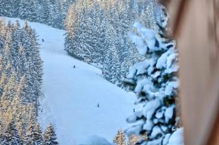 Chalet Schmitten - by Alpen Apartments - Zell am See - 2