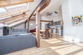 Navrátilova Residence - Praga - 0