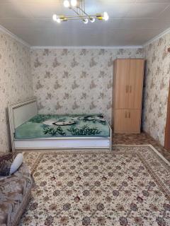 Apartment on Akhmetova 10 - 5