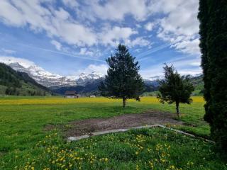 Burgbühler Guesthouse - Lenk im Simmental - 9