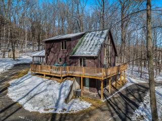 Sqyrls Nest - Hot Tub, Pet Friendly, Screen Porch, Grill, Wifi, Fire Pit, Deck, View, Family Friendly, Game Room, Shuffle Board, Wood Stove - Berkeley Springs - 9