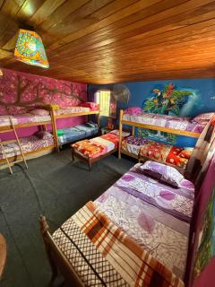 Casita del arbol Hostel - San Salvador de Jujuy - 1