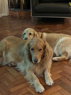 Charmoso Quarto - Posto 6 Copacabana - 1