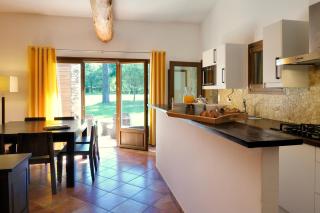 Domaine Codaleone - Serriera - 7