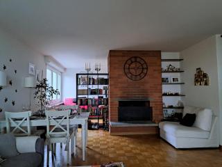 Charming & Bright Apartment with Chimney, Balcony & Workspace near Lake Zurich - 3