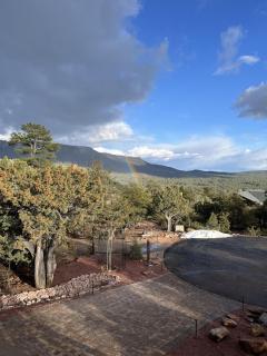 Sundial Circle Pine - Pine - 4
