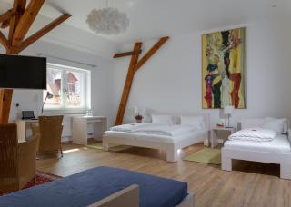 Hotel Gasthof Zum Storch - Schlüsselfeld - 7