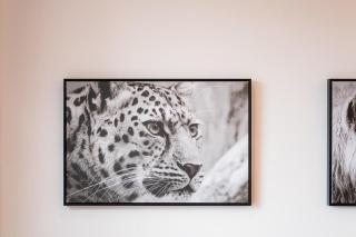 Masingita Towers Sandton - Luxurious Apartment Condo - 9th Floor - 7