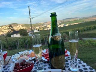 Dans les vignes d'Epernay, Maison avec vue spectaculaire - 6