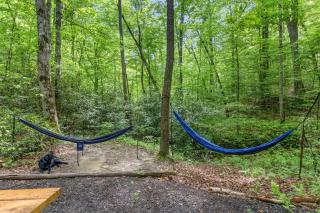 Beech Timber No Pet Fee - Beattyville - 2