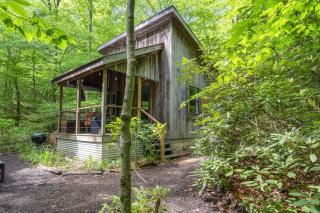 Beech Timber No Pet Fee - 3