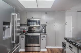 Palms and Paradise - 8