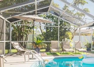 Palms and Paradise - 5