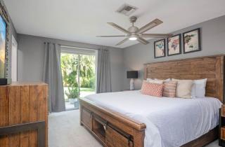 Palms and Paradise - 2