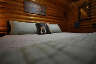 Gnome Alone - Sevierville - 5