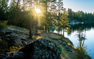 Black Bay Getaway Private Bay Access - 7