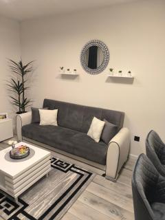 Apartman Rex - Svinišće - 7