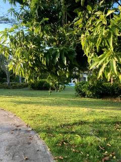 Cozy Duplex unit in Cocotal Golf - 9