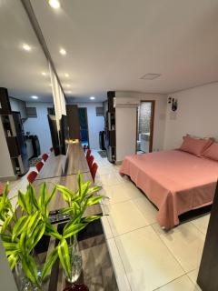 Apartamento de um quarto com varanda externa - Bananeiras - 4