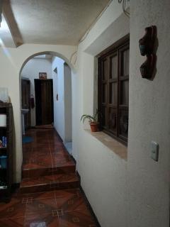 Pacífico Jaguar Antigua - 5