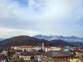 Perla Sinaia - Sinaia - 9