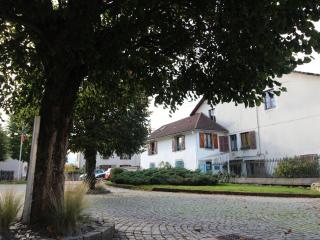 Appartement cosy au cœur de Vagney, proche commerces et sentiers, terrasse et cheminée, à 15km Gérardmer - FR-1-589-304 - Vagney - 5