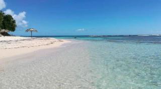 Appartement T1 ANSE DES ROCHERS - 7