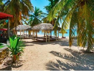 Appartement T1 ANSE DES ROCHERS - 3