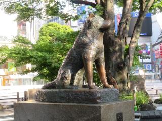 APA Hotel Shibuya Dogenzakaue - Tokio - 8