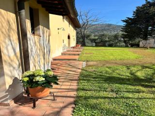Villa in Tuscany with Pool and Olive Grove - Vicopisano - 4