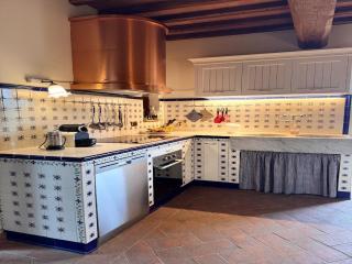 Villa in Tuscany with Pool and Olive Grove - Vicopisano - 9