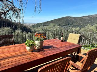 Villa in Tuscany with Pool and Olive Grove - Vicopisano - 0