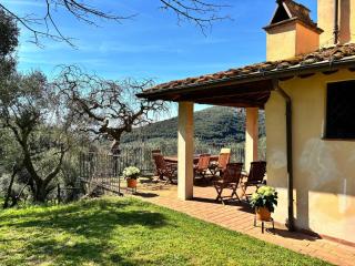 Villa in Tuscany with Pool and Olive Grove - Vicopisano - 5