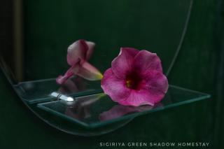 Sigiri Green Shadow Homestay - Sigiriya - 6