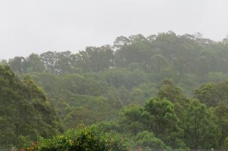 The Cellar Door - Vacy - 4