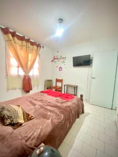 Departamento Los Huaicos - 2