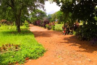 Horizon Heritage Lodge - 1