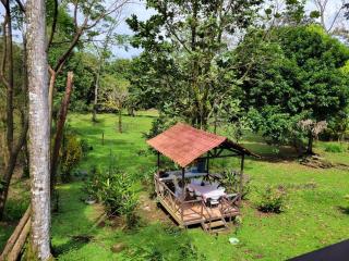 Serene Rainforest Escape - Studio - Tigra - 9