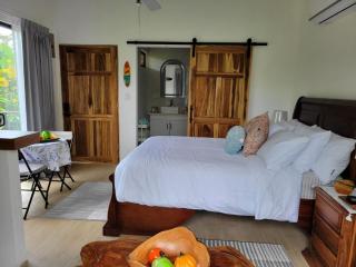Serene Rainforest Escape - Studio - Tigra - 3
