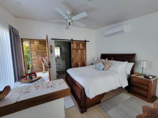 Serene Rainforest Escape - Studio - Tigra - 2