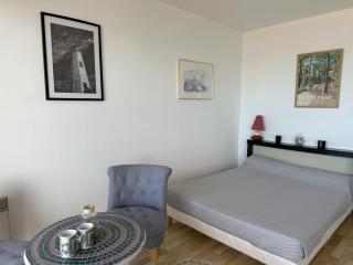 Studio bord de mer, balcon, animaux bienvenus, parking - Notre-Dame-de-Monts - FR-1-540-315 - 8