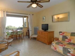 Appartement T2 avec piscine et parking pour 4 personnes - FR-1-610-103 - Le Lavandou - 9