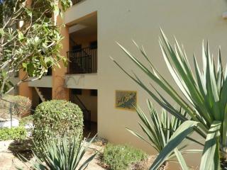 Appartement T2 avec piscine et parking pour 4 personnes - FR-1-610-103 - Le Lavandou - 1
