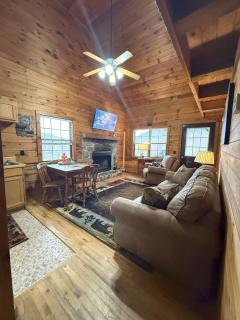 Cozy Bear Cabin-Stunning Mountain View, Dogs welcome with Pet Rate - Maggie Valley - 3