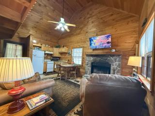 Cozy Bear Cabin-Stunning Mountain View, Dogs welcome with Pet Rate - Maggie Valley - 4