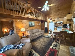 Cozy Bear Cabin-Stunning Mountain View, Dogs welcome with Pet Rate - Maggie Valley - 1