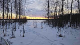 Traditional Finnish lakeside off-grid cabin - Joensuu - 8