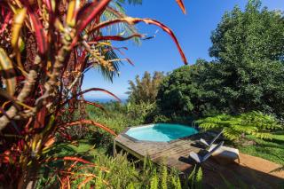 Maison familiale, sérénité, simplicité, végétalisé - Saint-Pierre - 4