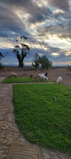 Handelkraal Loeriesfontein - Loeriesfontein - 6