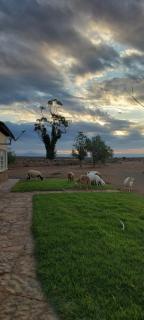 Handelkraal Loeriesfontein - Loeriesfontein - 7